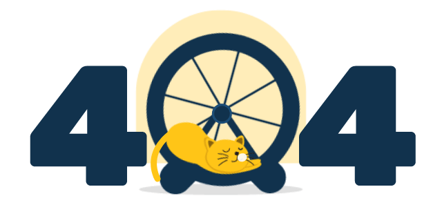 404 sleep cat